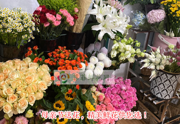 2024九江都昌县母亲节送花,九江都昌县精美鲜花供您选!